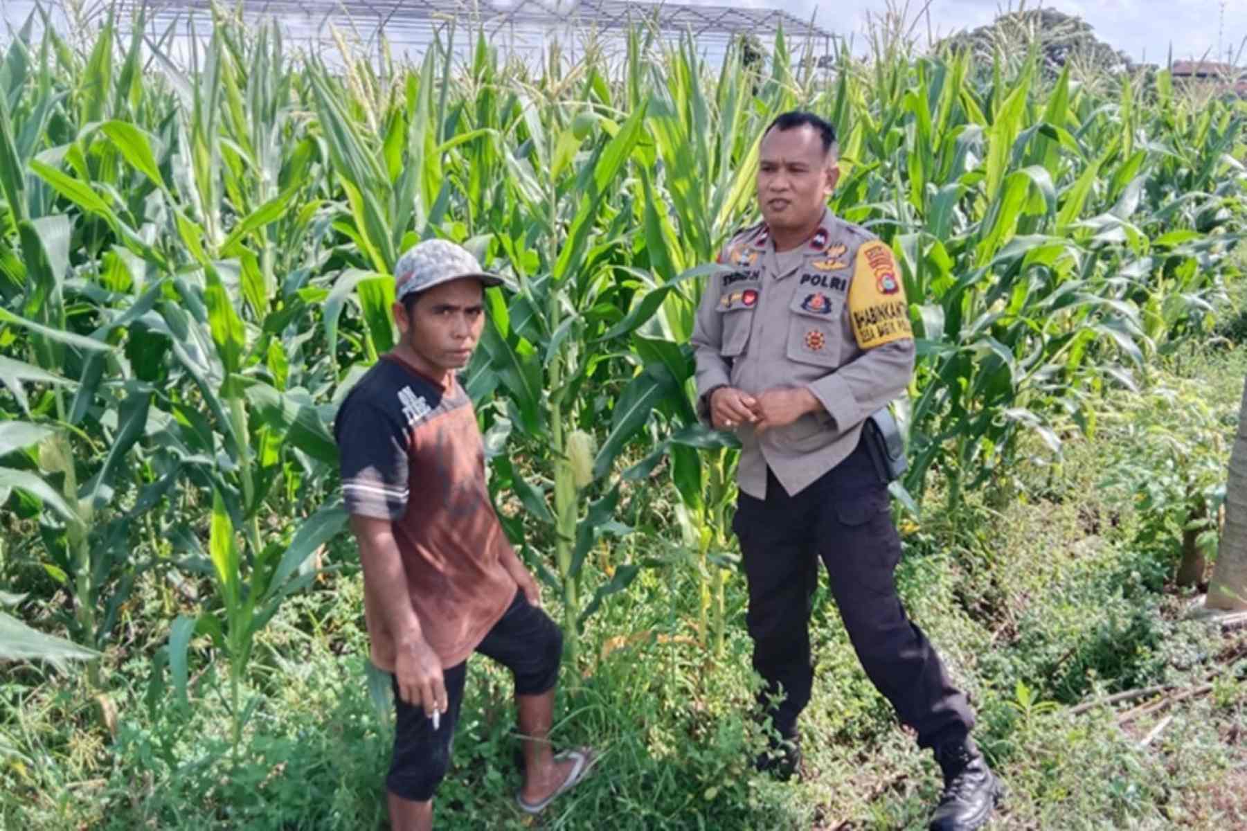 Polsek Labuapi Motivasi Petani di Desa Bagik Polak