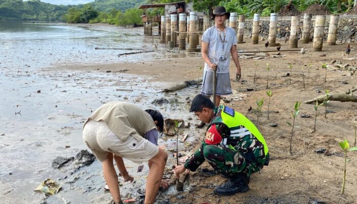 Sinergi Babinsa dan Mahasiswa Unram Hijaukan Pesisir Sekotong