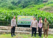 Dukung Ketahanan Pangan Nasional, Polres Bima Kota Pantau Perkembangan Tanaman Jagung Milik Warga