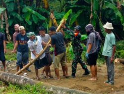 Batang Kelapa Jadi Harapan Warga Kambeng Timur