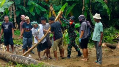 Batang Kelapa Jadi Harapan Warga Kambeng Timur