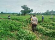 Polri Kawal Percepatan Swasembada Pangan di Lombok Barat