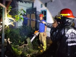 Respons Cepat Babinsa Evakuasi Pohon Tumbang