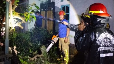 Respons Cepat Babinsa Evakuasi Pohon Tumbang