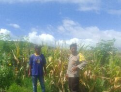 Humanis dan Preventif, Bhabinkamtibmas Desa Taropo Bangun Sinergi dengan Masyarakat