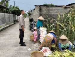 Polsek Labuapi Dampingi Petani Wujudkan Swasembada Pangan