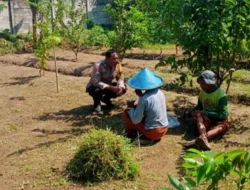 Dukung Swasembada, Polsek Labuapi Dampingi Petani Karang Bongkot