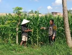 Polri Dampingi Petani Bagik Polak Barat Perkuat Ketahanan Pangan
