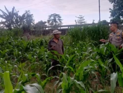 Komitmen Polsek Labuapi Kawal Kedaulatan Pangan Nasional: Edukasi Pemanfaatan Lahan Mandiri untuk Ekonomi Warga