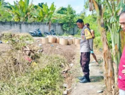 Cara Budidaya Tanaman Palawija untuk Ketahanan Pangan