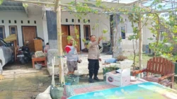 Inspiratif! Intip Cara Warga Dusun Kondak Ubah Halaman Rumah Jadi Kebun Anggur Produktif