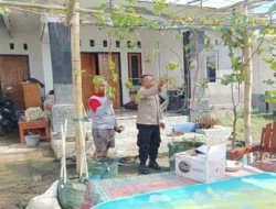 Inspiratif! Intip Cara Warga Dusun Kondak Ubah Halaman Rumah Jadi Kebun Anggur Produktif