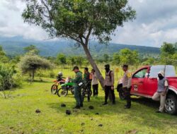 Sinergi Tiga Pilar, Cegah Pembalakan dan Perburuan Liar, Polsek Tambora Menggelar Patroli Gabungan di TN Tambora