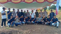 Kapolsek Donggo Hadiri Panen Raya Jagung Bersama PT Bayer Indonesia di Desa Palama