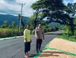 Bhabinkamtibmas Desa Adu Pantau Hasil Panen Jagung Warga, Dukung Program Ketahanan Pangan Nasional