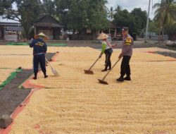 Bhabinkamtibmas Desa Kempo Aktif Dampingi Petani Jemur Jagung Dukung Ketahanan Pangan Nasional