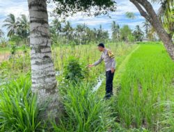 Sambang Desa di Kumbang, Bhabinkamtibmas Ajak Warga Kompak Jaga Pangan dan Kamtibmas