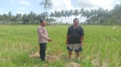 Polres Lombok Barat Dampingi Petani Banyu Urip Wujudkan Swasembada Pangan