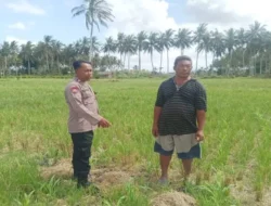 Polres Lombok Barat Dampingi Petani Banyu Urip Wujudkan Swasembada Pangan