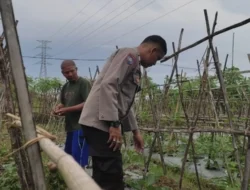 Bhabinkamtibmas Kuranji Dalang Motivasi Petani Sayur: Optimalkan Lahan Pekarangan di Desa