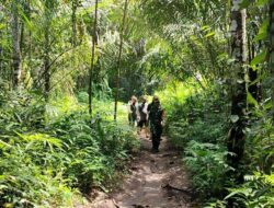 Menyusuri Hutan, Babinsa Perkenalkan Surga Tersembunyi Ampan Tepong