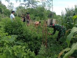 Semangat Warga Mumbul Sari Siapkan Akses Jembatan Baru