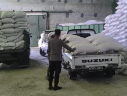 Petani Sekotong Bernapas Lega, Ribuan Kilogram Jagung Berhasil Tembus Standar Ketat Bulog dengan Pengawalan Polri