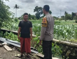 Strategi Bhabinkamtibmas Labuapi Perkuat Ketahanan Pangan Melalui Pemanfaatan Lahan Pekarangan