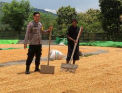 Bhabinkamtibmas Polsek Dompu Lakukan Pemantauan Jagung Warga Dukung Ketahanan Pangan Nasional