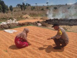 Dukung Penuh Program Ketahanan Pangan Nasional, Bhabinkamtibmas Polsek Donggo Dampingi Para Petani Jagung di Desa Binaannya