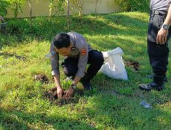 Personel Polres Bima Kota Tanam Sayur, Manfaatkan Lahan Kosong Dukung Pekarangan Pangan Lestari