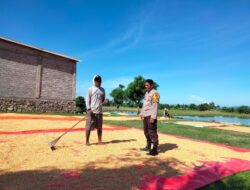 Bhabinkamtibmas Desa Cempi Jaya Laksanakan Pemantauan Lahan Jagung Dukung Program Ketahanan Pangan Nasional