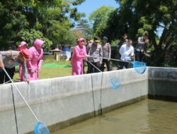 Kapolda NTB Pimpin Panen Ikan di SPN Belanting, Dukung Program Ketahanan Pangan Nasional