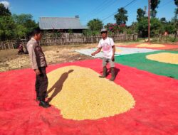 Bhabinkamtibmas Polsek Hu’u Pantau Penjemuran Hasil Panen Jagung Warga