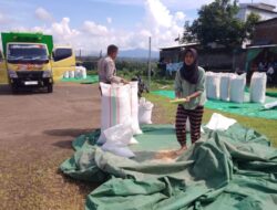 Bhabinkamtibmas Aktif Edukasi Petani, Dorong Produktivitas Jagung untuk Ketahanan Pangan