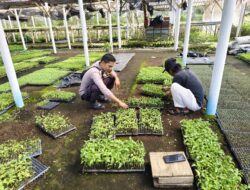 Bhabinkamtibmas Desa Kilang Sambangi Warga, Ajak Jaga Kamtibmas di Lingkungan Pembibitan