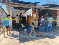 KEBAKARAN RUMAH DAN KIOS DI DESA JAMBU, POLSEK PAJO LAKUKAN PENANGANAN CEPAT