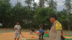 Polres Dompu Dorong Petani Jual Jagung ke Bulog, Dukung Program Ketahanan Pangan Nasional