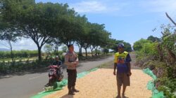 Bhabinkamtibmas Polsek Hu’u Pantau Panen Jagung Warga, Dukung Ketahanan Pangan Menuju Indonesia Emas 2045