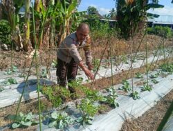 Bhabinkamtibmas Masbagik Utara Intensifkan Sambang Desa, Dukung Ketahanan Pangan Warga