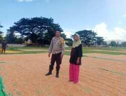 Bhabinkamtibmas Desa Rasabou Pantau Penjemuran Jagung Warga, Dorong Penyaluran ke Bulog