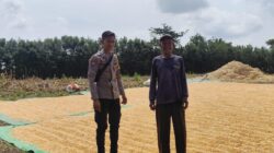 Polsek Kempo Pantau Penjemuran Jagung Warga, Dorong Partisipasi Ketahanan Pangan