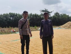 Polsek Kempo Pantau Penjemuran Jagung Warga, Dorong Partisipasi Ketahanan Pangan