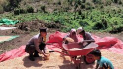 Bhabinkamtibmas Desa Lasi Aktif Dampingi Petani, Perkuat Ketahanan Pangan di Wilayah Kilo