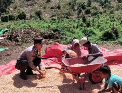 Bhabinkamtibmas Desa Lasi Aktif Dampingi Petani, Perkuat Ketahanan Pangan di Wilayah Kilo