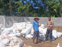 Polri Hadir di Tengah Petani, Panen Jagung Hingga 10 Ton di Pekat Dukung Ketahanan Pangan Nasional
