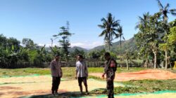 Pemantauan Jagung Warga, Bhabinkamtibmas Desa Madaprama Dukung Ketahanan Pangan Nasional