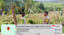 Turun ke Lahan, Bhabinkamtibmas O’o Motivasi Petani Tingkatkan Hasil Panen