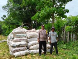 Pantau Aktivitas Panen Jagung Warga, Dukung Ketahanan Pangan Nasional