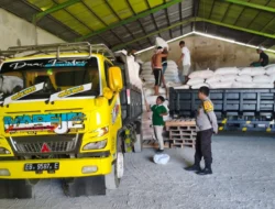 Sinergi Polri dan Petani: Puluhan Ton Jagung dari Mareje Timur Resmi Disalurkan ke Gudang Bulog